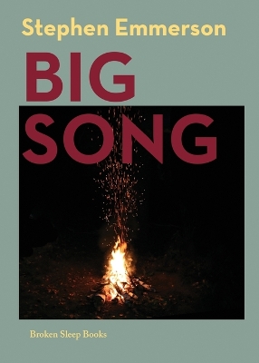 Book cover for Big Song