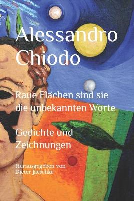 Book cover for Raue Flächen sind sie die unbekannten Worte Gedichte und Zeichnungen