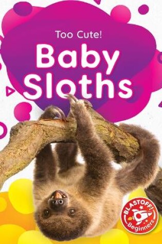 Cover of Baby Sloths