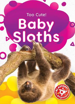 Cover of Baby Sloths