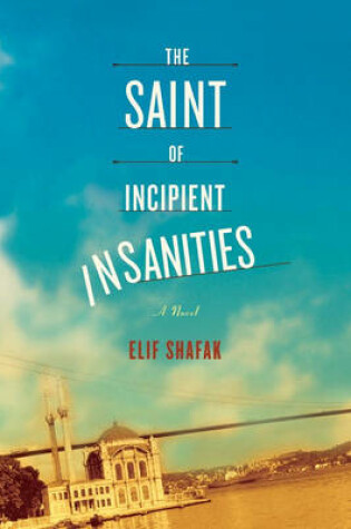 Cover of The Saint of Incipient Insanities