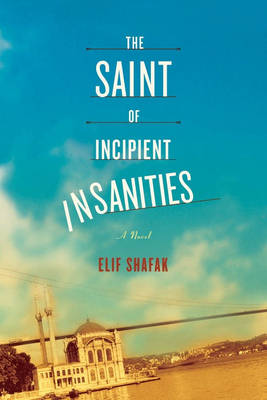 Book cover for The Saint of Incipient Insanities