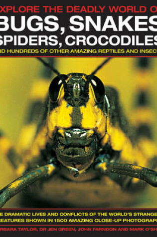 Cover of Explore the Deadly World of Bugs, Snakes, Spiders, Crocodiles