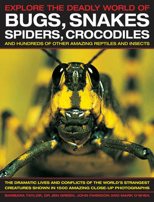 Book cover for Explore the Deadly World of Bugs, Snakes, Spiders, Crocodiles