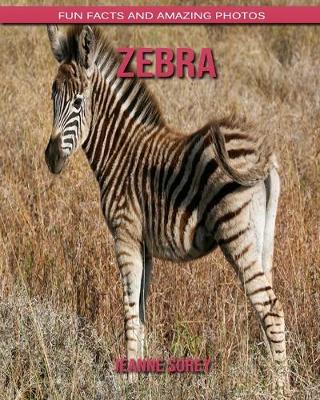 Book cover for Zebra