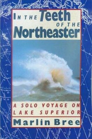 Cover of In the Teeth of the Northeaster