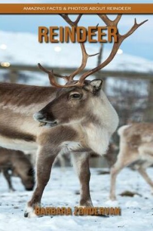 Cover of Reindeer