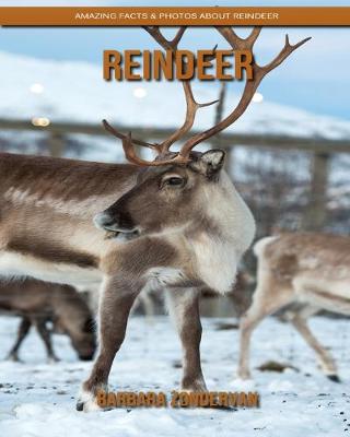 Book cover for Reindeer