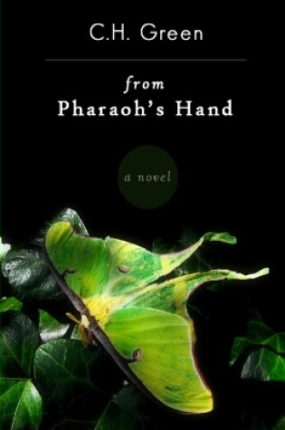 Cover of From Pharaoh's Hand