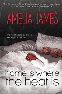 Book cover for Home Is Where the Heat Is
