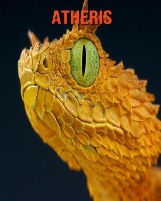 Book cover for Atheris