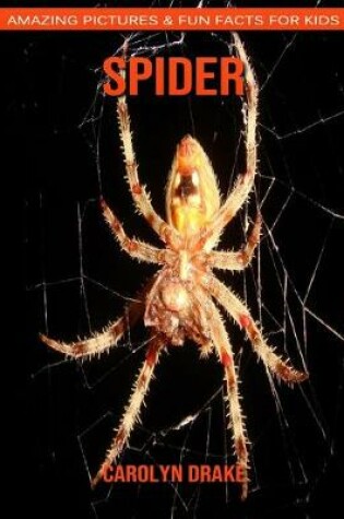 Cover of Spider