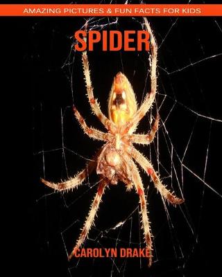 Book cover for Spider