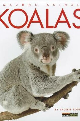 Cover of Koalas