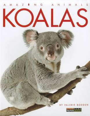 Book cover for Koalas