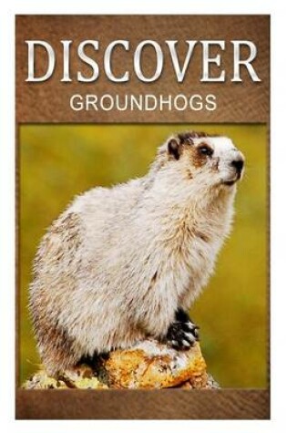 Cover of Groundhogs - Discover