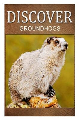 Book cover for Groundhogs - Discover