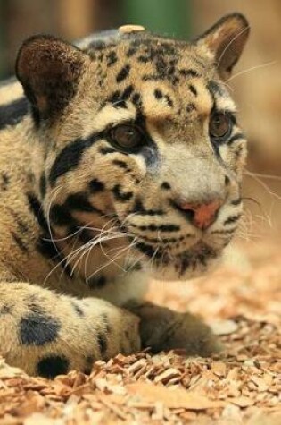 Cover of Clouded Leopard Portrait Journal