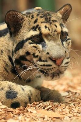 Book cover for Clouded Leopard Portrait Journal