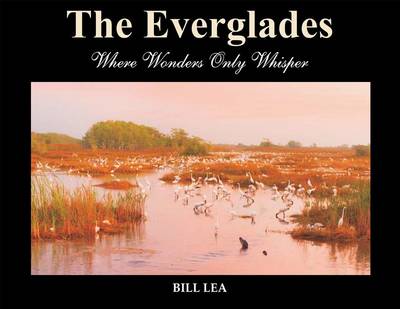 Book cover for The Everglades