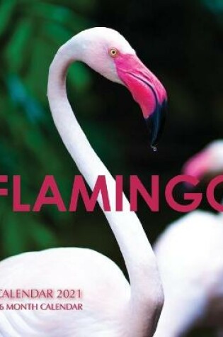 Cover of Flamingo Calendar 2021