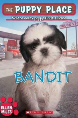 Cover of Bandit