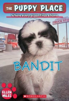 Book cover for Bandit
