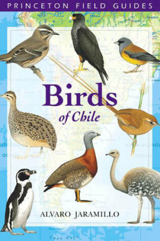 Cover of Birds of Chile