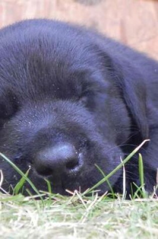 Cover of Sleeping Black Lab Puppy (for the Love of Dogs)