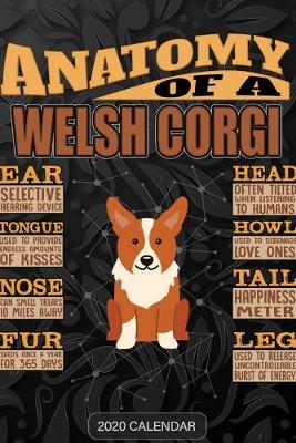 Book cover for Anatomy Of A Welsh Corgi Cardigan