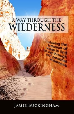 Book cover for A Way Through the Wilderness