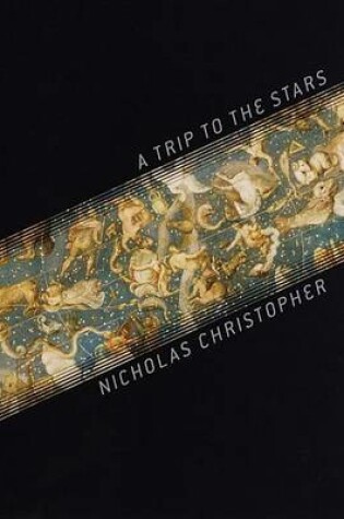 Cover of Trip to the Stars, A: A Novel