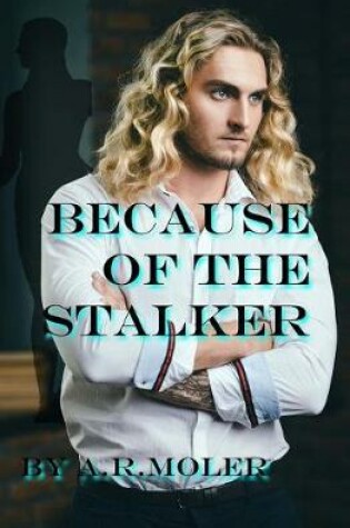 Cover of Because of the Stalker