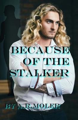 Book cover for Because of the Stalker