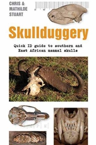 Cover of Skullduggery A Quick