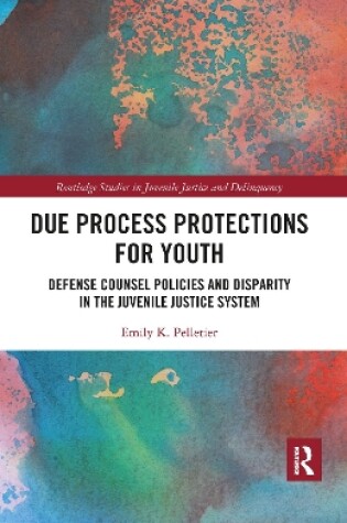 Cover of Due Process Protections for Youth