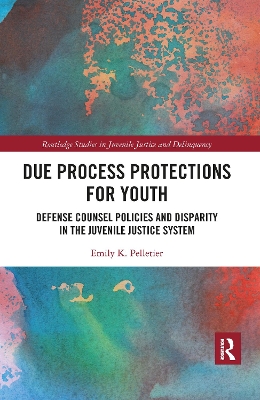 Cover of Due Process Protections for Youth