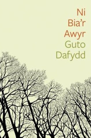 Cover of Cyfres Tonfedd Heddiw: Ni Bia'r Awyr