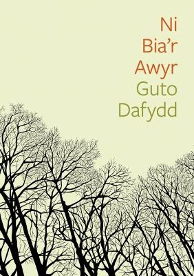 Book cover for Cyfres Tonfedd Heddiw: Ni Bia'r Awyr