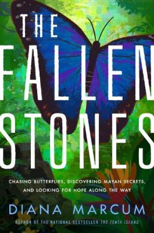 Cover of The Fallen Stones