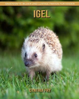 Book cover for Igel