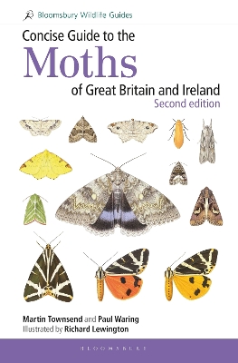 Book cover for Concise Guide to the Moths of Great Britain and Ireland: Second edition