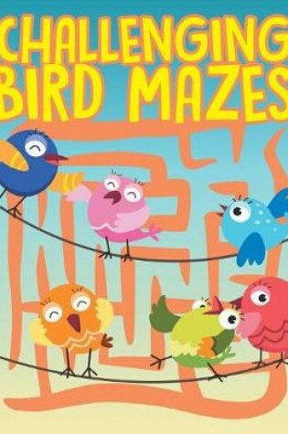 Cover of Challenging Bird Mazes