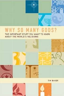 Book cover for Why So Many Gods?