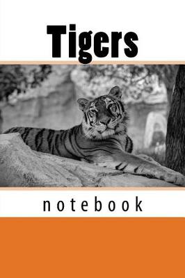 Book cover for Tigers