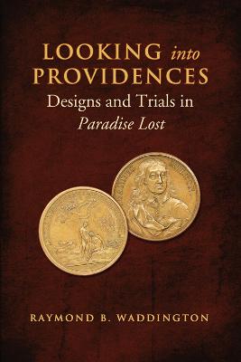 Book cover for Looking Into Providences