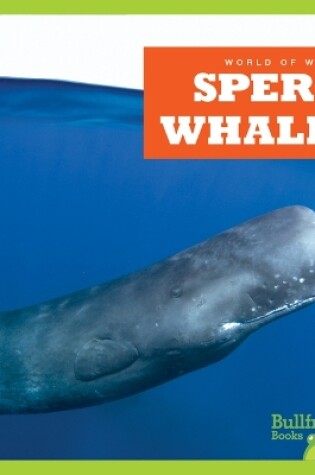 Cover of Sperm Whales