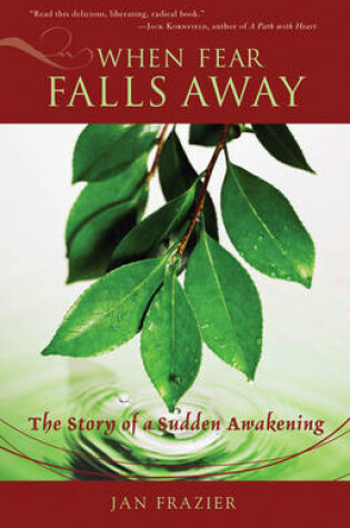 Cover of When Fear Falls Away