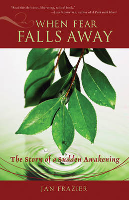 Book cover for When Fear Falls Away