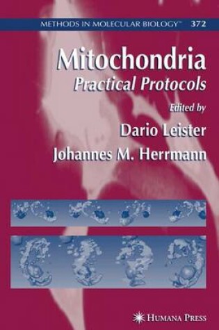 Cover of Mitochondrial Genomics and Proteomics Protocols